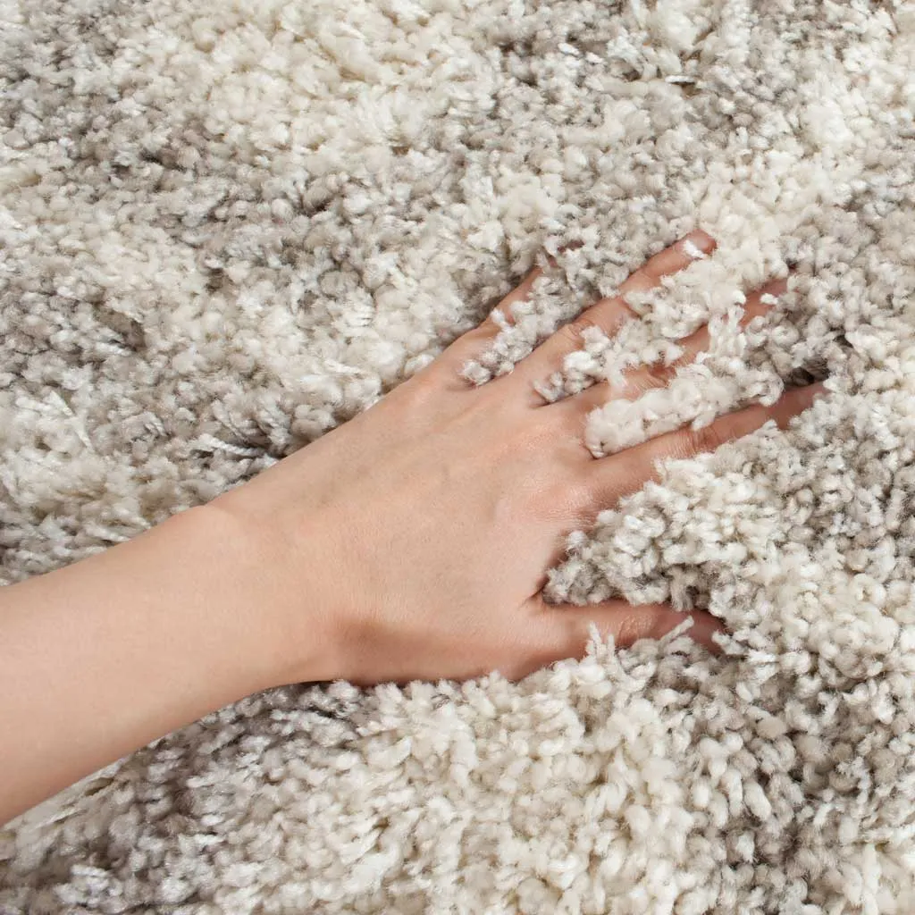 Arizona Shag Ivory/Beige Area Rug