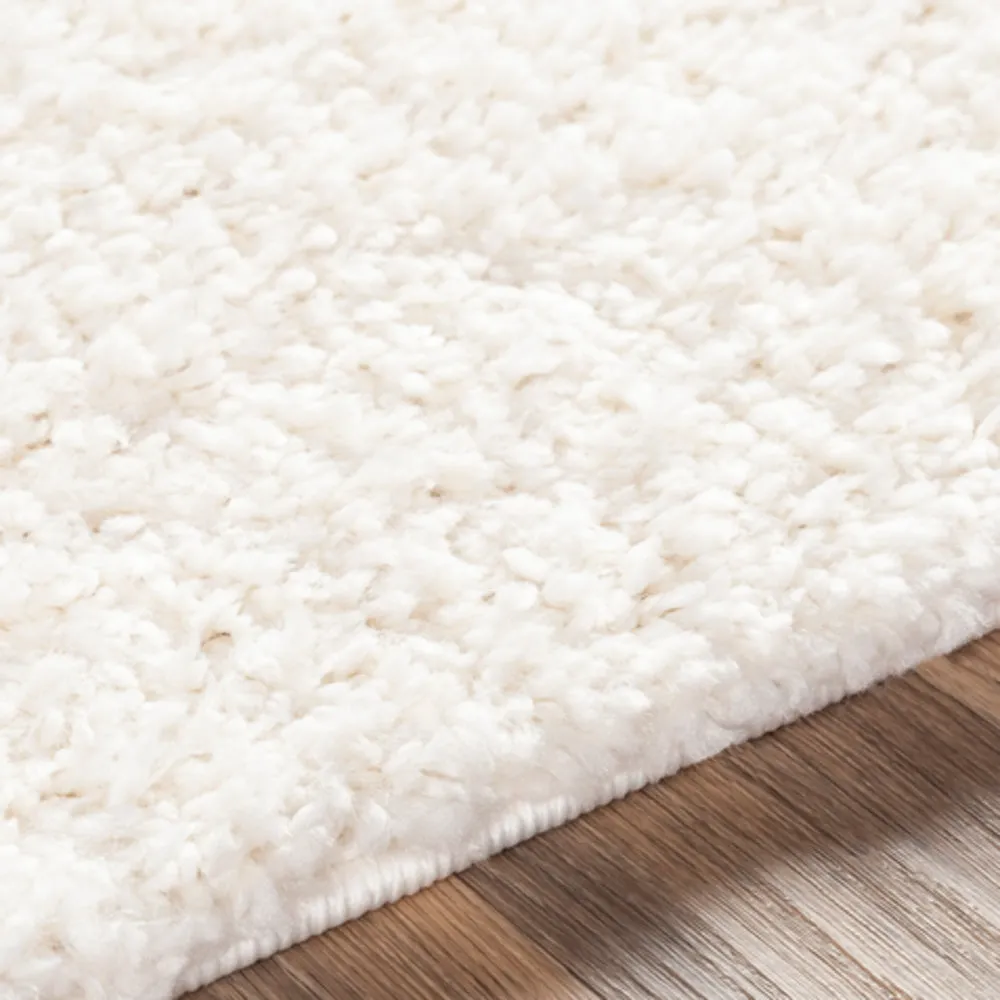 Deluxe shag Rugs