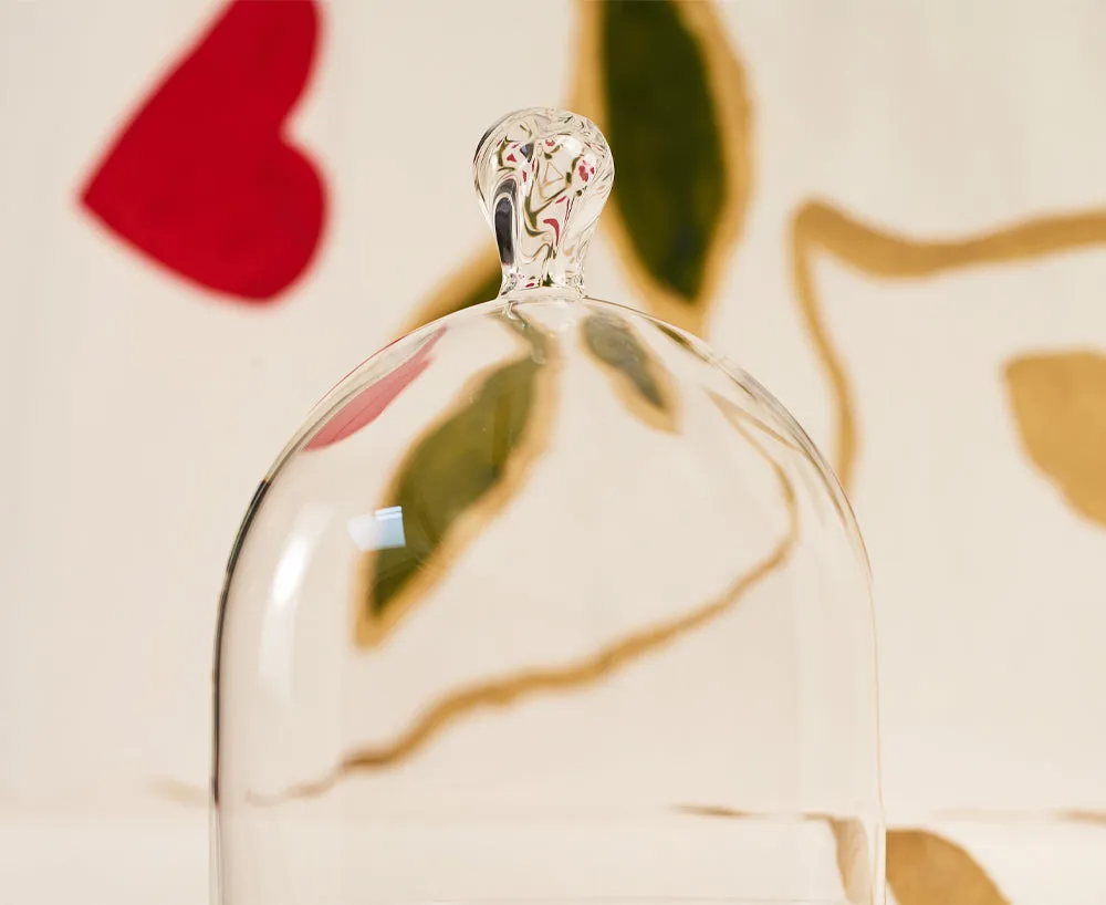 Eleanor Cake Stand and Dome in Clear, Small 19cm