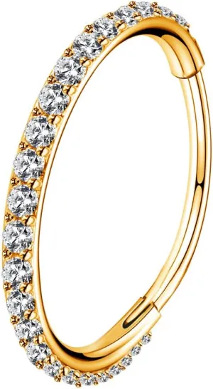 OUFER Gold Hinged Segment Earring Hoop 16G Stainless Steel with Cartilage Earrings Clear CZ Paved Tragus Helix Earrings Cartilage Earring Septum Nose Ring Hoop