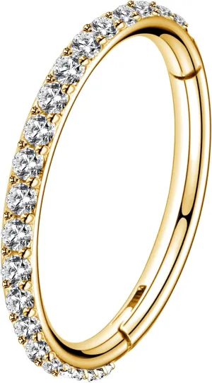 OUFER Gold Hinged Segment Earring Hoop 16G Stainless Steel with Cartilage Earrings Clear CZ Paved Tragus Helix Earrings Cartilage Earring Septum Nose Ring Hoop