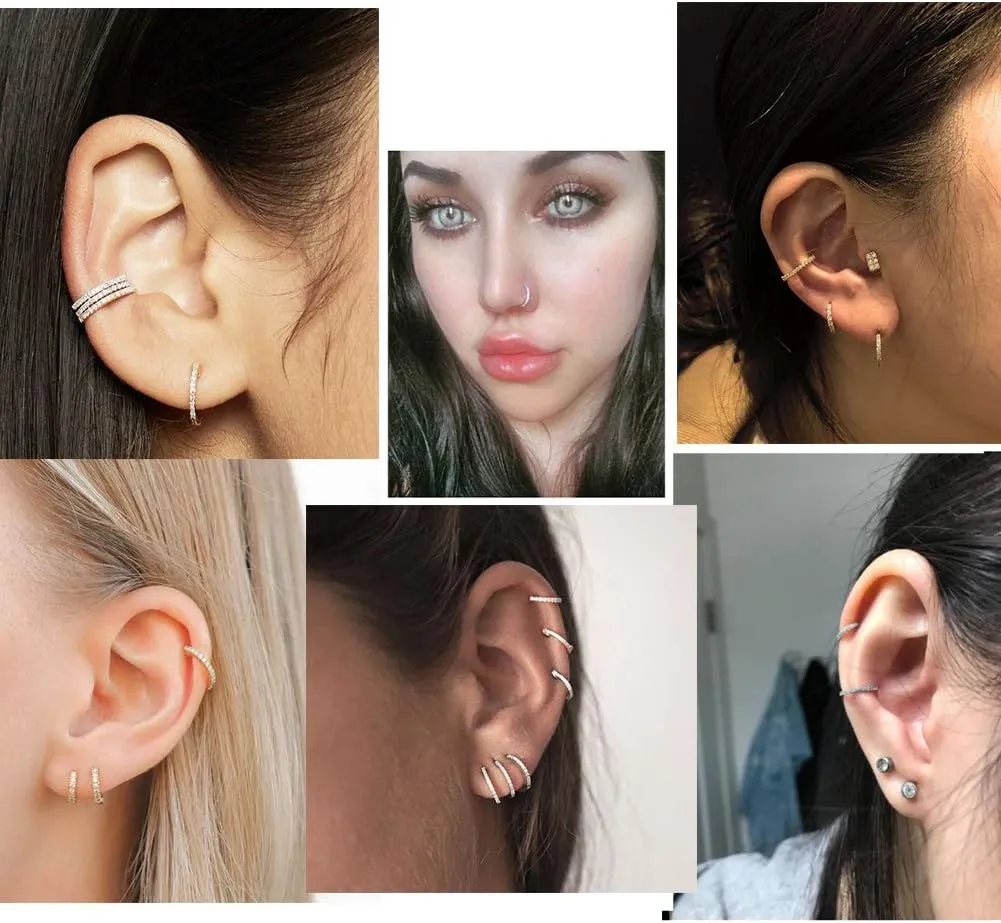 OUFER Gold Hinged Segment Earring Hoop 16G Stainless Steel with Cartilage Earrings Clear CZ Paved Tragus Helix Earrings Cartilage Earring Septum Nose Ring Hoop