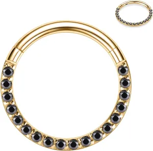 PEAKLINK 16G 18G 316L Stainless Steel CZ/OPAL Septum Piercing Septum Clicker Ring Hinged Nose Ring Daith Earrings Conch Piercing Jewelry Helix Cartilage Tragus Lobe Belly Hoop Earring