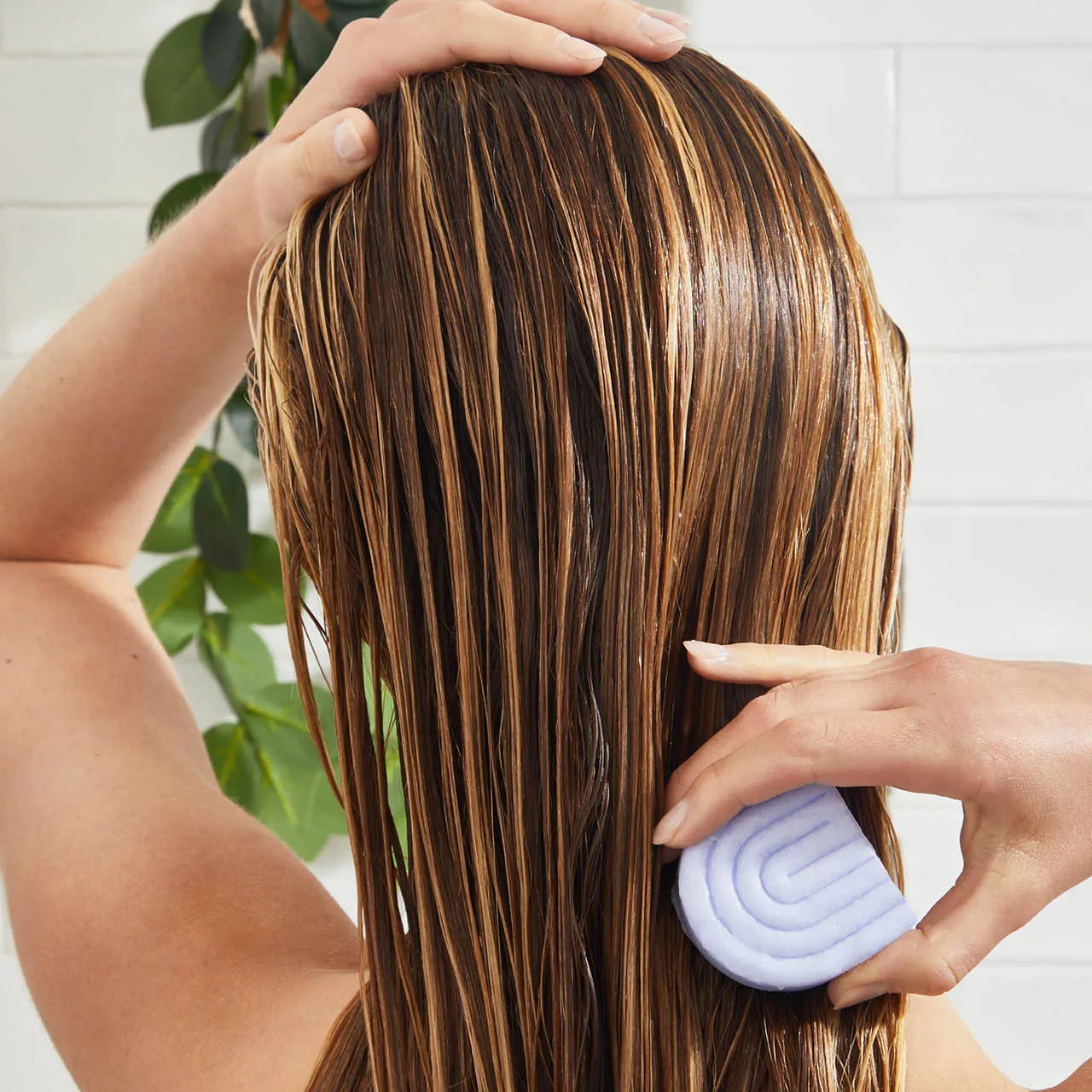 Purple Toning Shampoo & Conditioner Combo